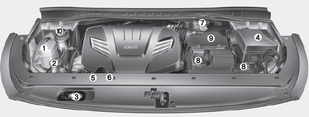 Kia Carnival: Engine compartment. Gasoline Engine (Lambda 3.3L)